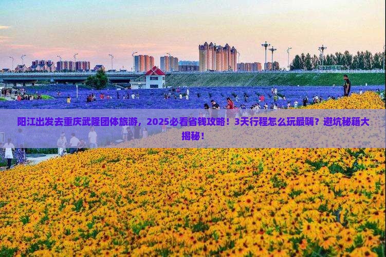 阳江去重庆武隆团体旅游