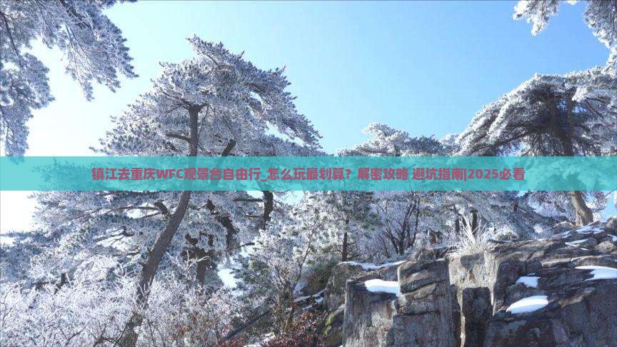 镇江去重庆wfc观景台自由行