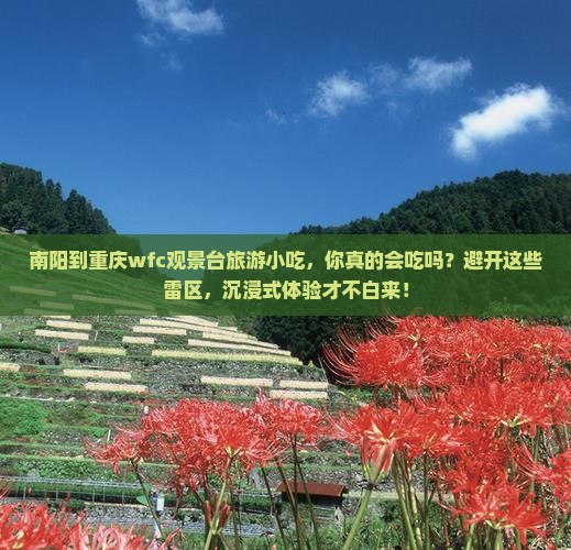 南阳到重庆wfc观景台旅游小吃