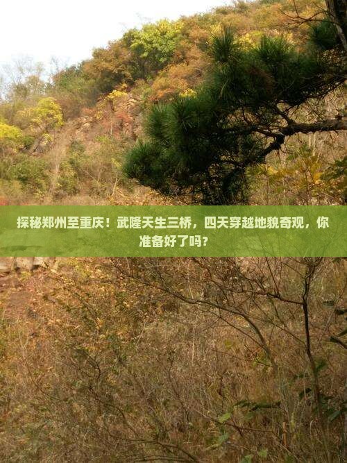 郑州去重庆武隆天生三桥四日游