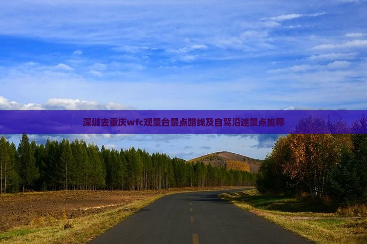 深圳去重庆wfc观景台景点