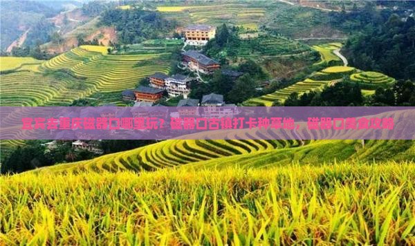 宜宾去重庆磁器口哪里玩