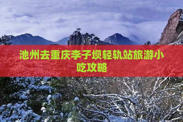 池州去重庆李子坝轻轨站旅游小吃
