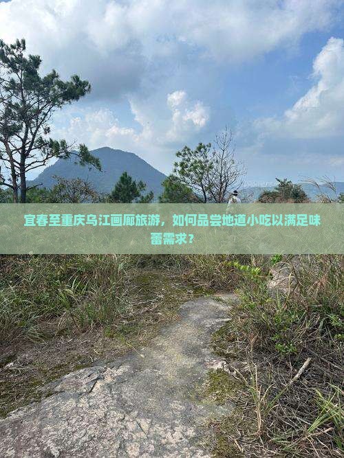 宜春去重庆乌江画廊旅游小吃 宜春去重庆乌江画廊旅游小吃