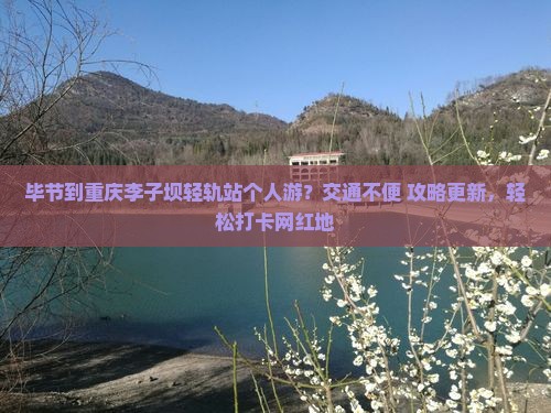 毕节到重庆李子坝轻轨站个人游