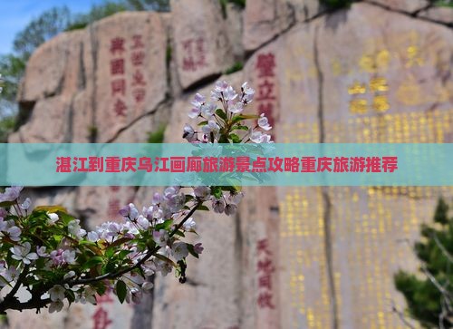 湛江到重庆乌江画廊哪里玩