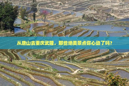 唐山到重庆武隆景点