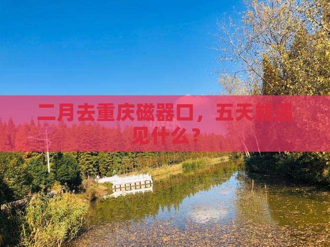 二月到重庆磁器口五日游