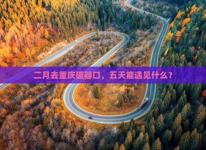 二月到重庆磁器口五日游