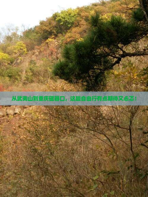 武夷山去重庆磁器口自由行