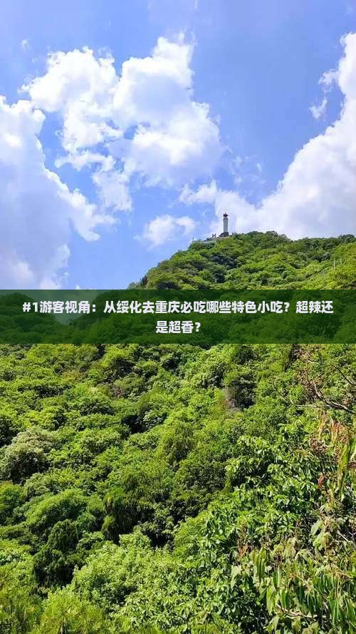 绥化到重庆旅游小吃