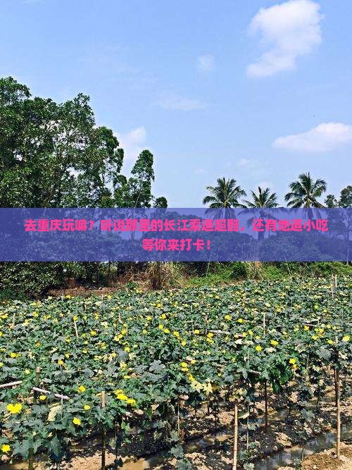 成都去重庆长江索道旅游小吃