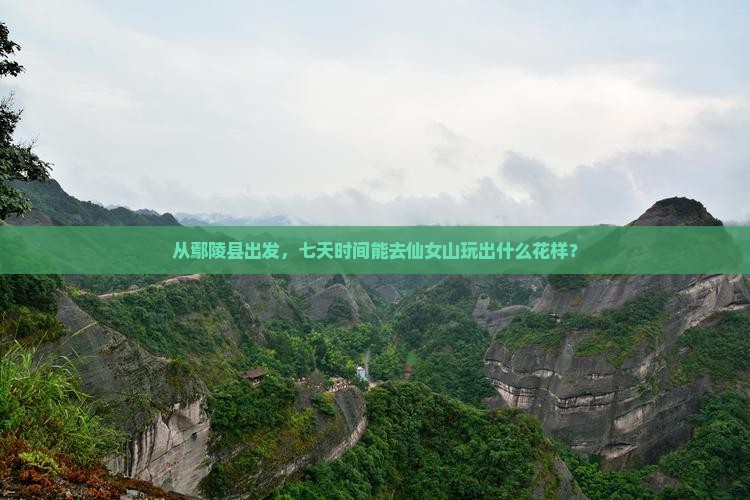 鄢陵县到重庆仙女山七日游