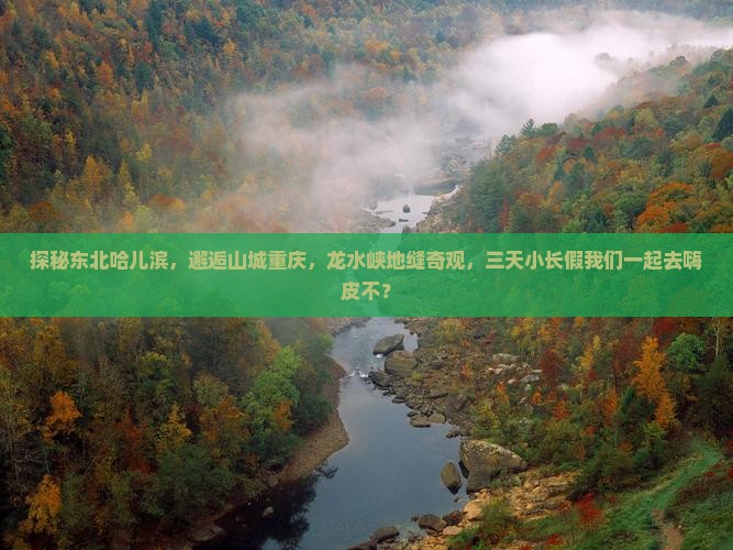 哈尔滨到重庆龙水峡地缝三日游