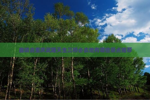 曲靖去重庆武隆天生三桥必去地