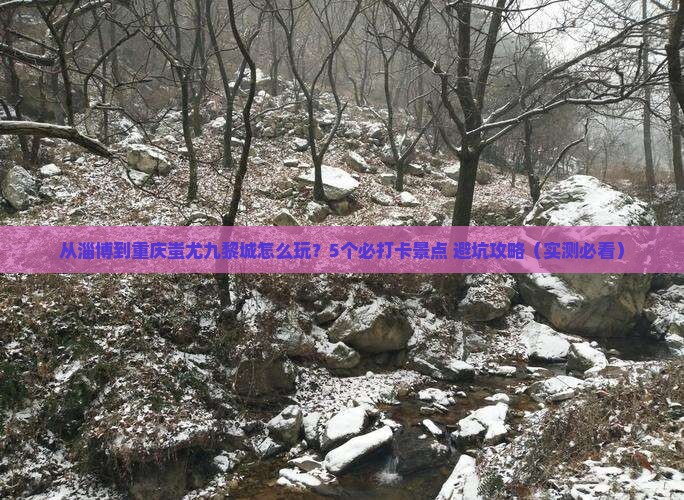 淄博去重庆蚩尤九黎城哪里玩