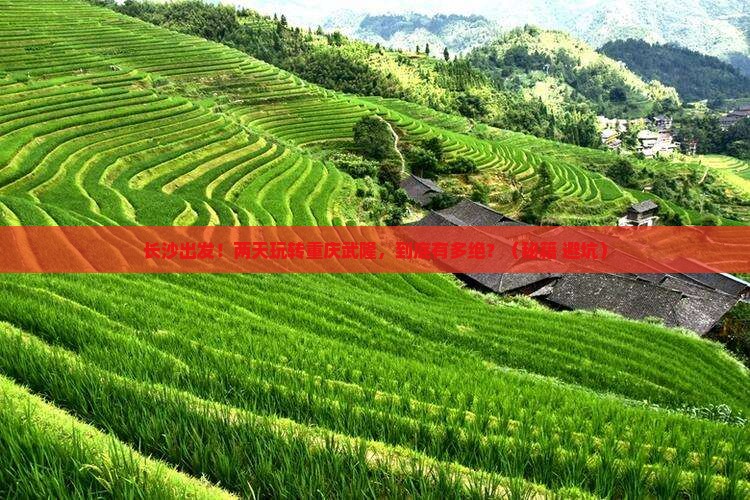 长沙到重庆武隆二日游