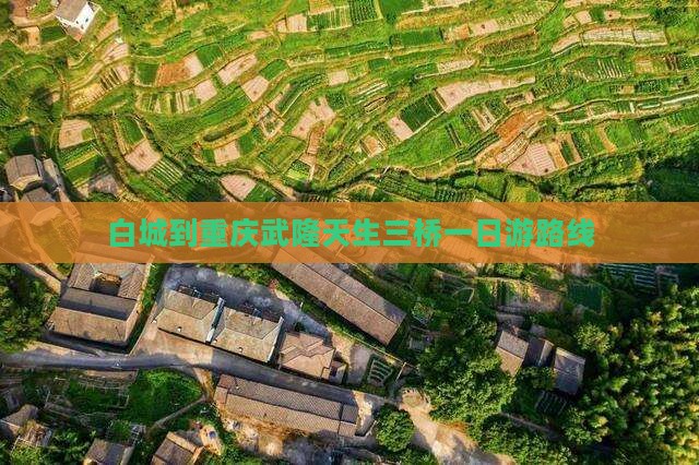 白城到重庆武隆天生三桥一日