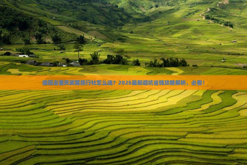 德阳去重庆武隆旅行社