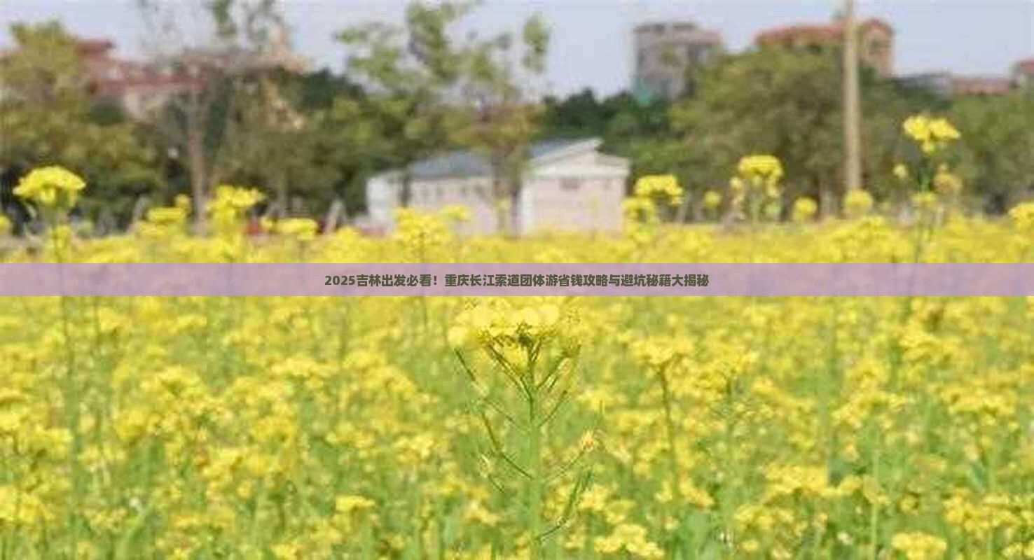 吉林到重庆长江索道团体旅游