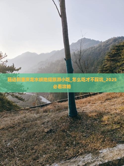 延边到重庆龙水峡地缝旅游小吃