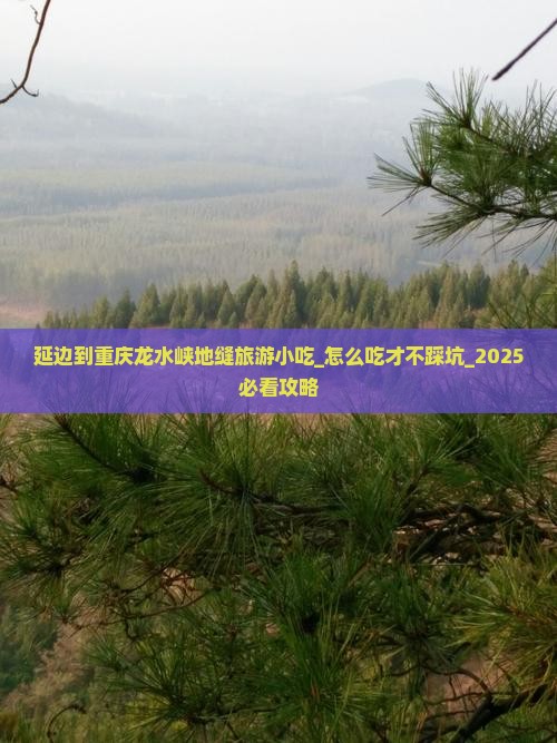延边到重庆龙水峡地缝旅游小吃
