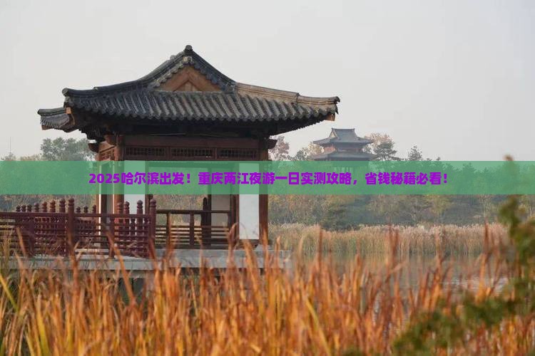 哈尔滨去重庆两江夜游一日