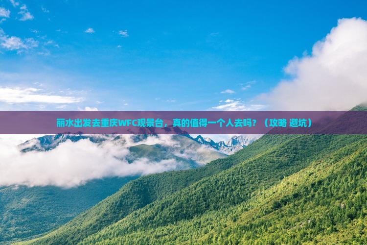 丽水去重庆wfc观景台个人游