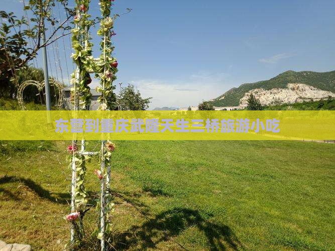 东营到重庆武隆天生三桥旅游小吃