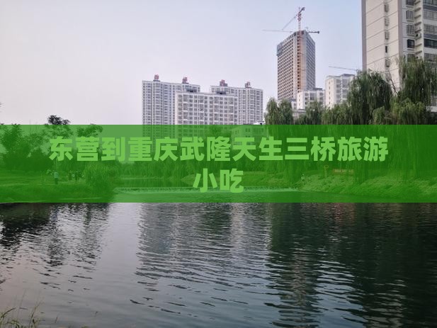 东营到重庆武隆天生三桥旅游小吃