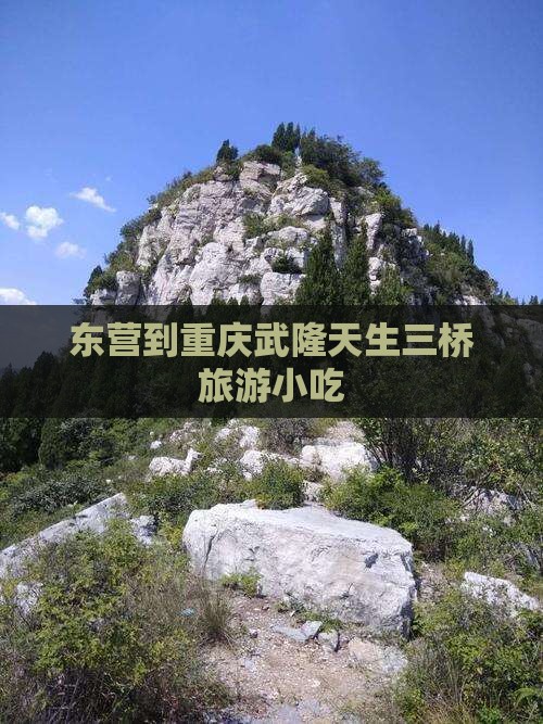 东营到重庆武隆天生三桥旅游小吃