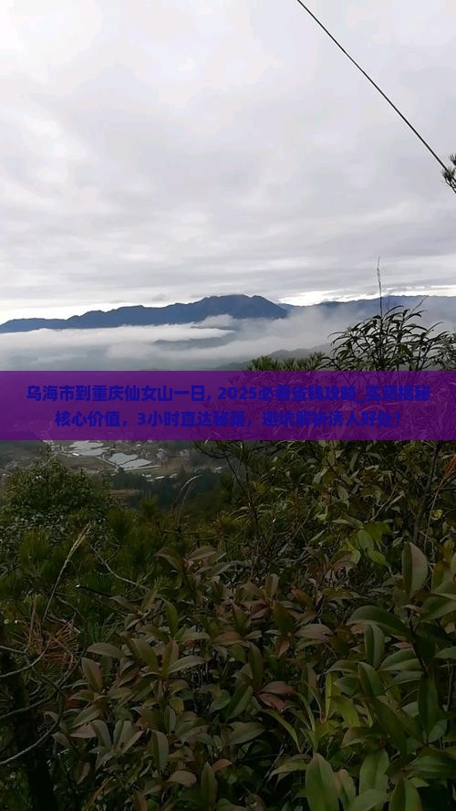 乌海市到重庆仙女山一日