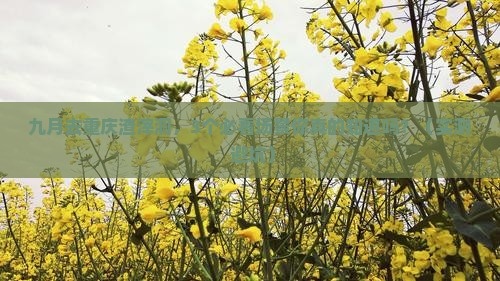 九月到重庆渣滓洞景点