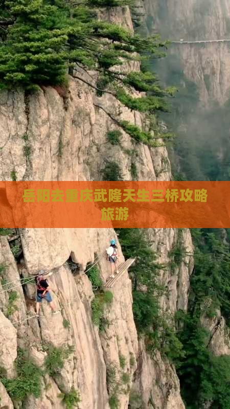 岳阳去重庆武隆天生三桥个人游