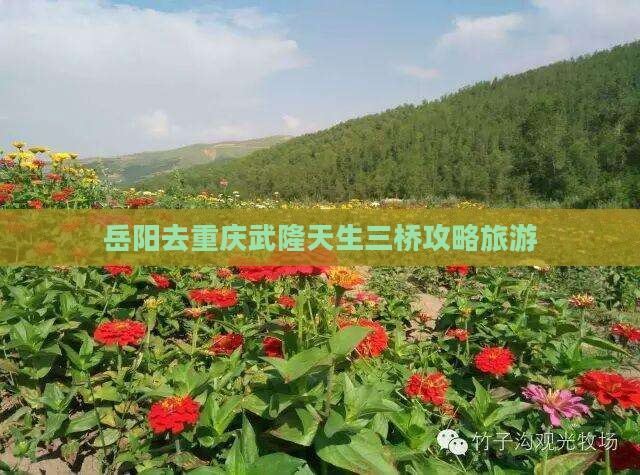 岳阳去重庆武隆天生三桥个人游