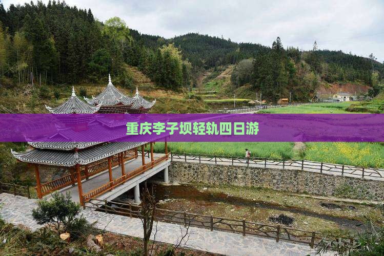 夏天到重庆李子坝轻轨站四日游
