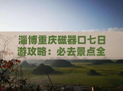 淄博去重庆磁器口七日游