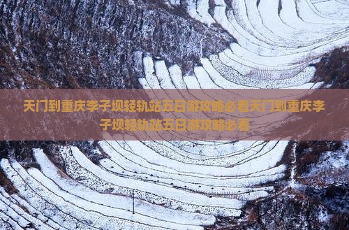 天门到重庆李子坝轻轨站五日游