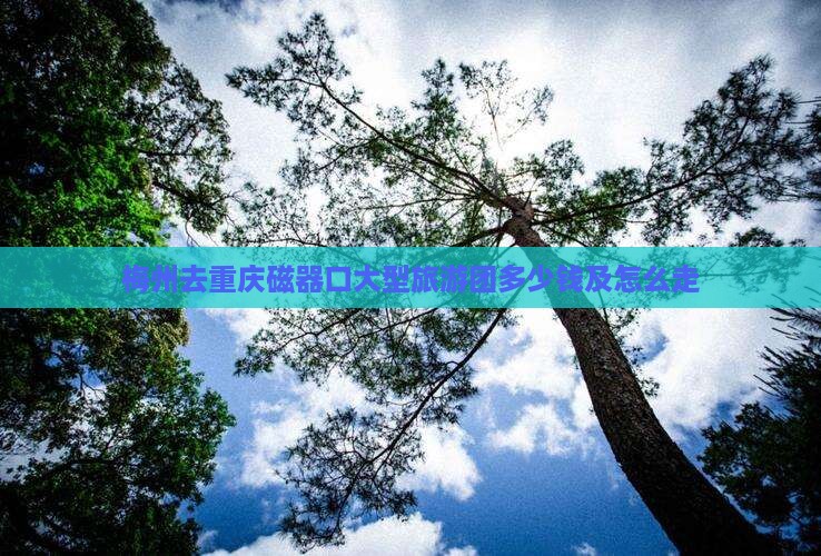 梅州去重庆磁器口大型旅游团