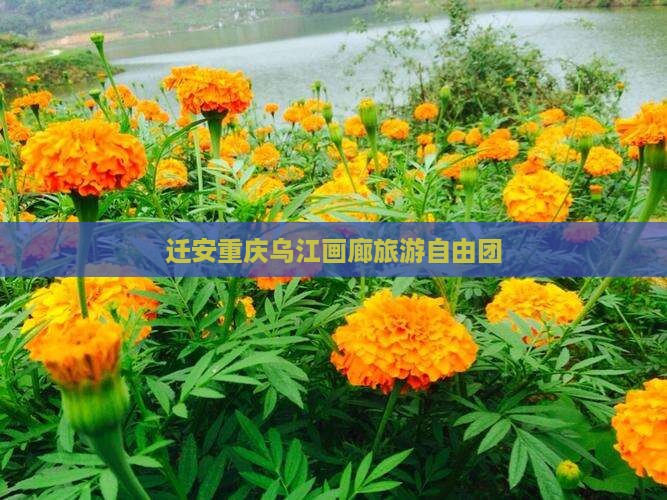 迁安去重庆乌江画廊自由团