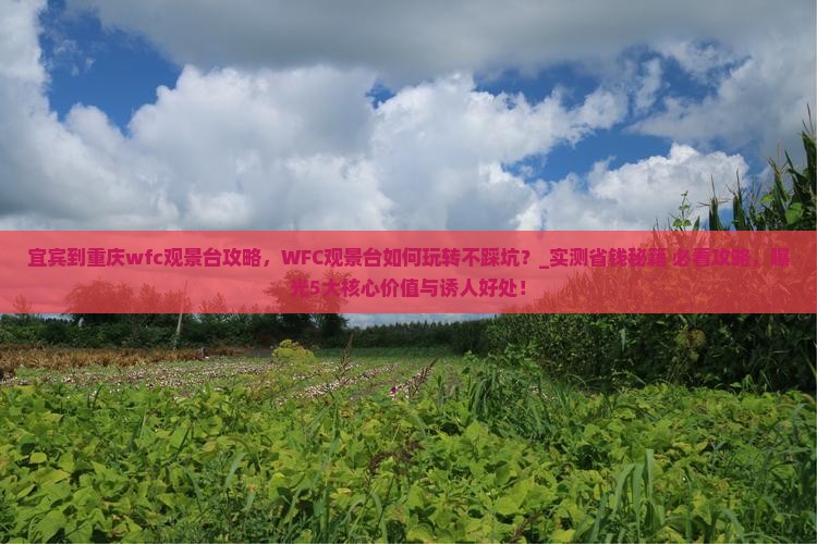 宜宾到重庆wfc观景台攻略