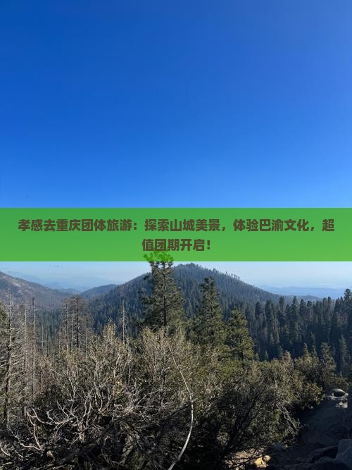 孝感去重庆团体旅游
