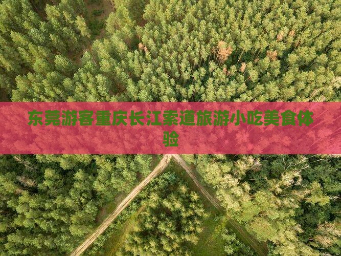 东莞去重庆长江索道旅游小吃