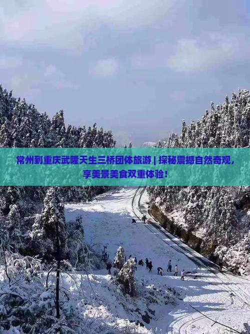 常州到重庆武隆天生三桥团体旅游
