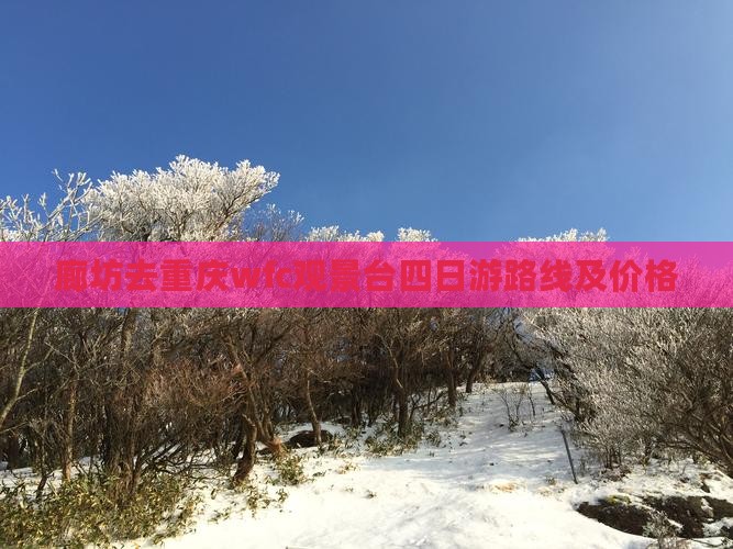 廊坊去重庆wfc观景台四日游