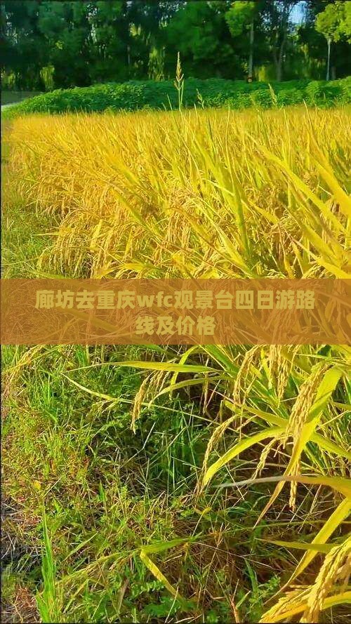 廊坊去重庆wfc观景台四日游