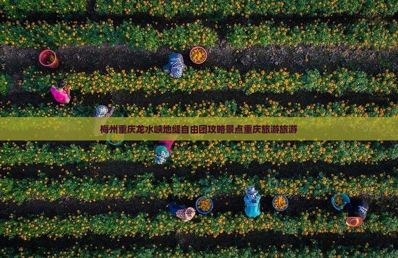 梅州去重庆龙水峡地缝自由团