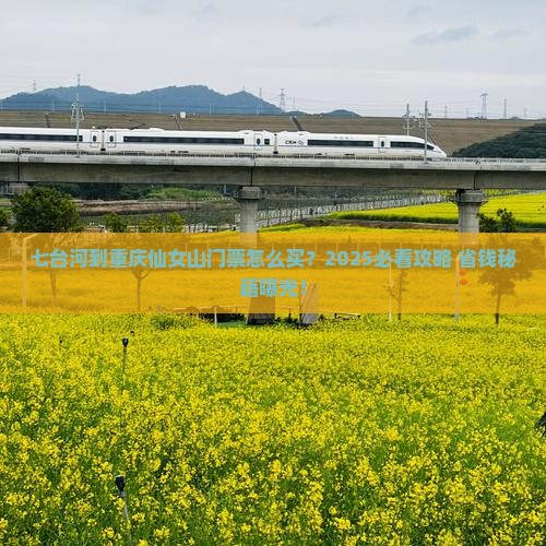 七台河到重庆仙女山门票 七台河到重庆仙女山门票