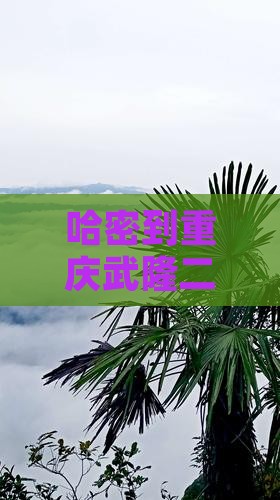 哈密到重庆武隆二日游