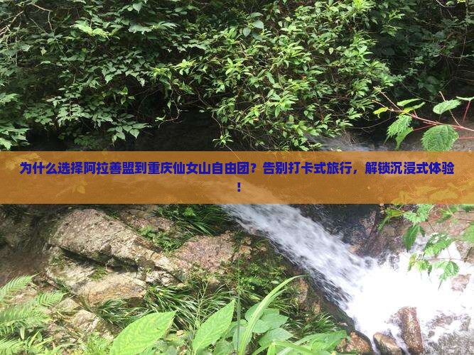 阿拉善盟到重庆仙女山自由团